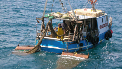 Approvati i nuovi bandi del Fondo Europeo Pesca