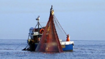 Pesca, pubblicati bandi per oltre 9 milioni di euro