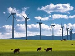 Impianto di produzione energia elettrica da fonte eolica nel Comune di Casalbore