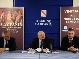 Vinitaly, la Campania a Verona con le sue eccellenze