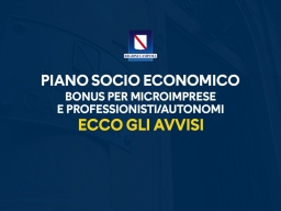 PIANO PER L'EMERGENZA SOCIO ECONOMICA - "BONUS PROFESSIONISTI/LAVORATORI AUTONOMI" – BONUS UNA TANTUM PER LE MICROIMPRESE