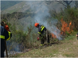 Protezione civile: attivato il servizio digitale per l’iscrizione ai Corsi di Aggiornamento per Operatori Antincendio Boschivo (AIB) in Regione Campania.