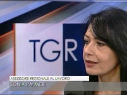 Assessore Palmeri al TG3 Campania sul ReI - 08 Gennaio