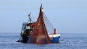 Pesca, pubblicati bandi per oltre 9 milioni di euro