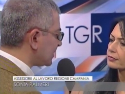 Assessore Palmeri al TG3 Campania sul ReI