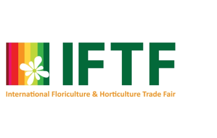 iftf1