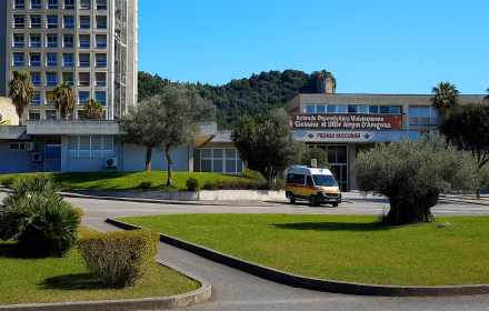 ruggi1