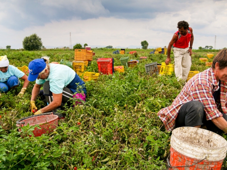Tutela della salute dei lavoratori edili e agricoli, ordinanza del presidente De Luca
