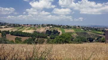 Progetti integrati aree protette, riaperti i bandi di gara