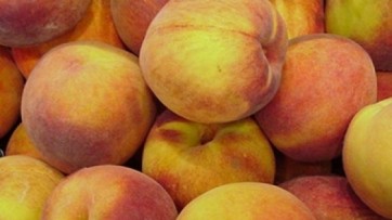 Giugliano e Castelvolturno, ortofrutta non inquinata