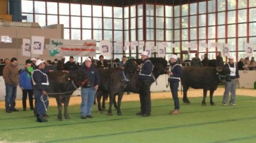 Agrosud, incontro con delegati di altri paesi