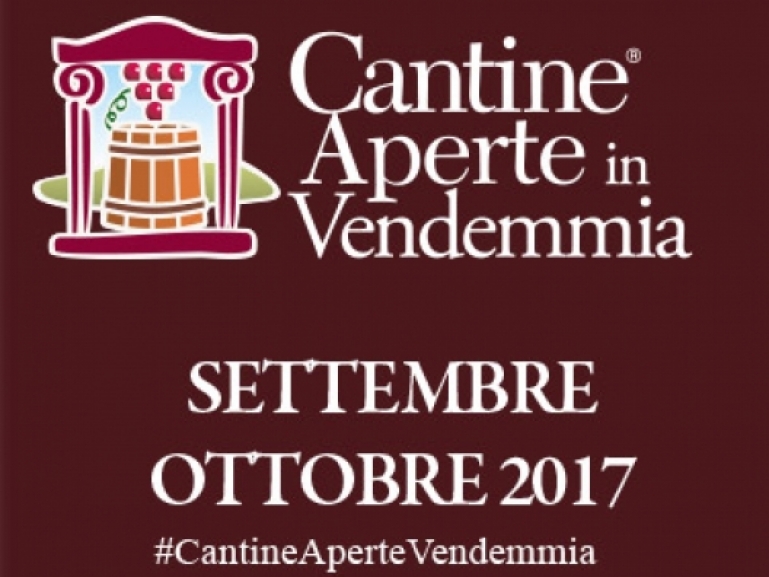 Cantine aperte in vendemmia