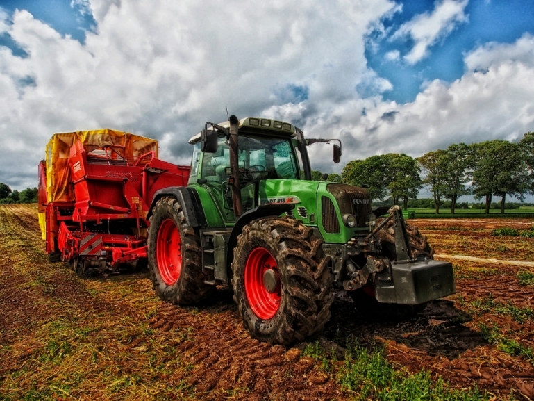 PIANO SOCIO ECONOMICO DELLA REGIONE CAMPANIA: IN CORSO I PAGAMENTI PER IL COMPARTO AGRICOLO
