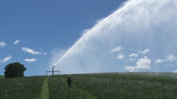 Agricoltura, approvato il piano irriguo regionale