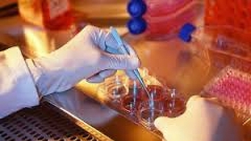 Ricerca, genetica: la scienziata Janet Rossant premia i giovani talenti presso l’istituto di genetica e biofisica del cnr