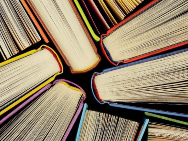 Contributo alle biblioteche di enti locali e similari per il sostegno all'editoria libraria - E.F. 2024