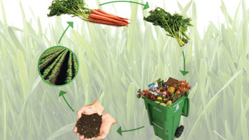 Compostaggio e siti di stoccaggio, pronte le risorse necessarie