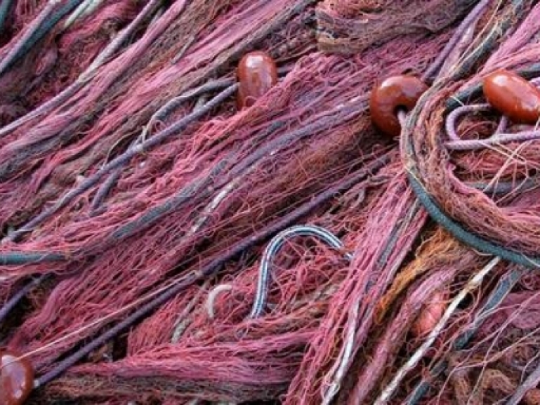 Pesca e Acquacoltura: 73 milioni per il comparto