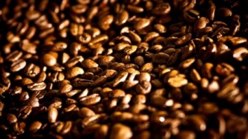 Caffè, la filiera funziona e va sviluppata