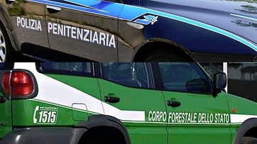 Agevolazioni tariffarie per il trasporto pubblico locale
