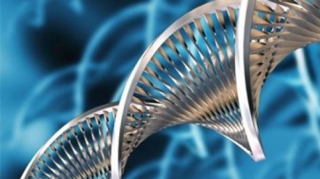 Biotecnologie: a Napoli l'IFIB, delegati da tutto il mondo