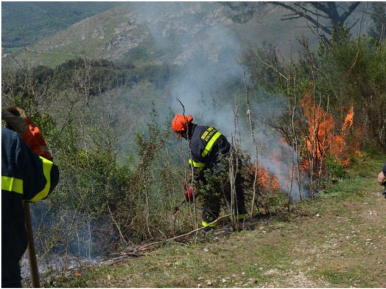 Protezione civile: attivato il servizio digitale per l’iscrizione al Corso Base Antincendio Boschivo (AIB) – Volontari (Codice BASE AIB-VOL 02-2025)
