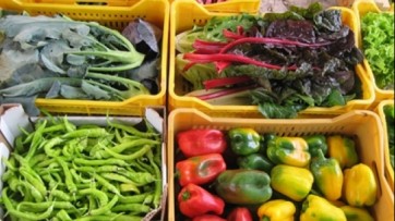Agrosud, il mondo agricolo alla Mostra d’Oltremare