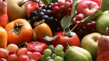 Fruit at School, Prizes for 100 thousand Euros Awarded