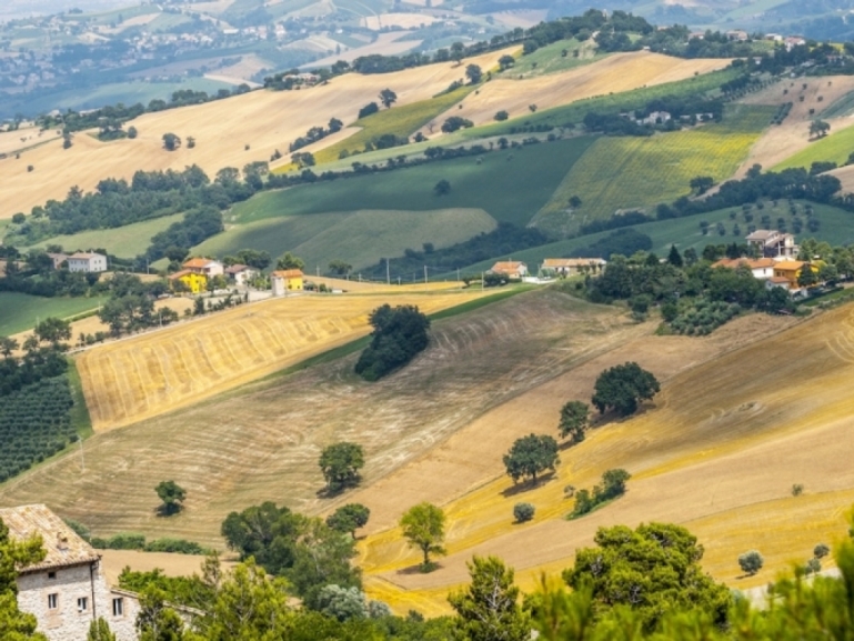 PSR Campania, finanziate 1.469 domande per 176,5 milioni di euro
