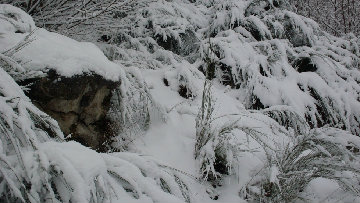 Emergenza neve, al via ricognizione costi sostenuti dagli enti locali