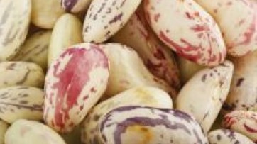 Food and Agricultural Sector, 20 new traditional Campania products
