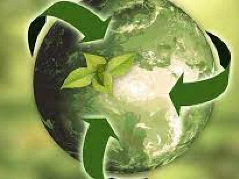 Bando Green New Deal