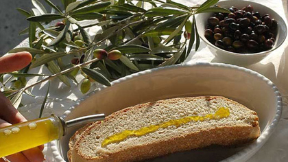 Olio, Amendolara: “Educare all’eccellenza”