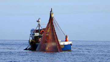 Fondo europeo della pesca, a disposizione 8,5 milioni di euro