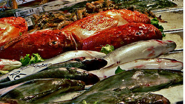 Operazione "pesca strisciante", garantita sicurezza alimentare