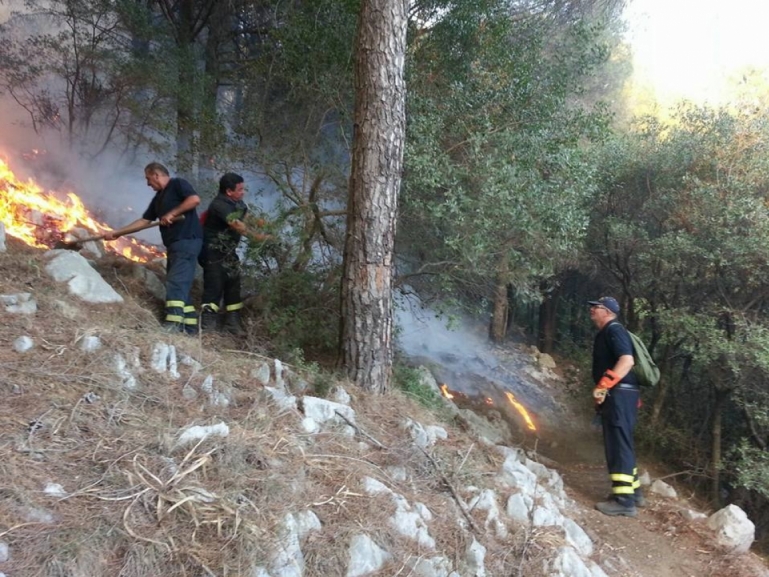 Forestali: Liquidati dalla Regione 9 milioni per le spettanze arretrate