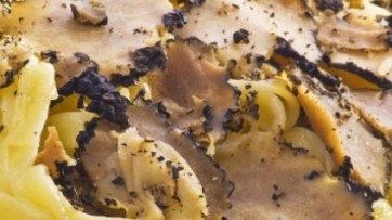 Tartufi, pubblicato il nuovo regolamento