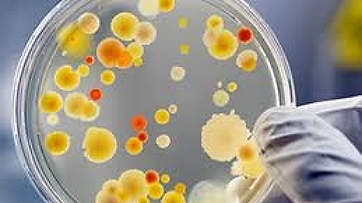 Antibiotico resistenza ed Infezioni correlate all'assistenza