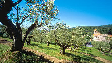 Aree rurali protette, in arrivo 102 milioni per progetti di sviluppo