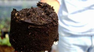 Compostaggio domestico, Romano approva linee guida
