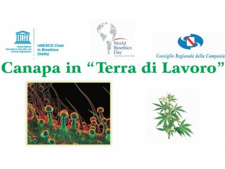 Canapa in Terra di lavoro
