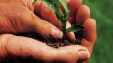 Sviluppo rurale, approvato il programma formativo