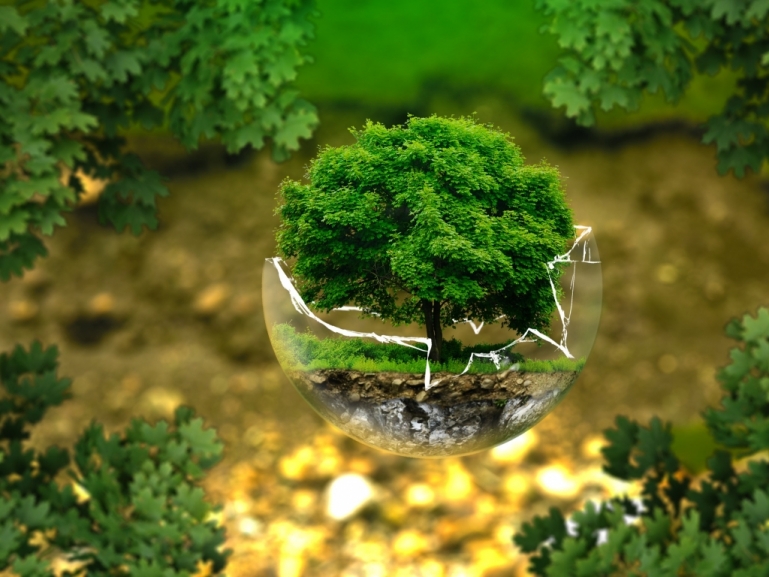Campania Ecomovie: concorso per studenti sul tema della promozione culturale ambientale