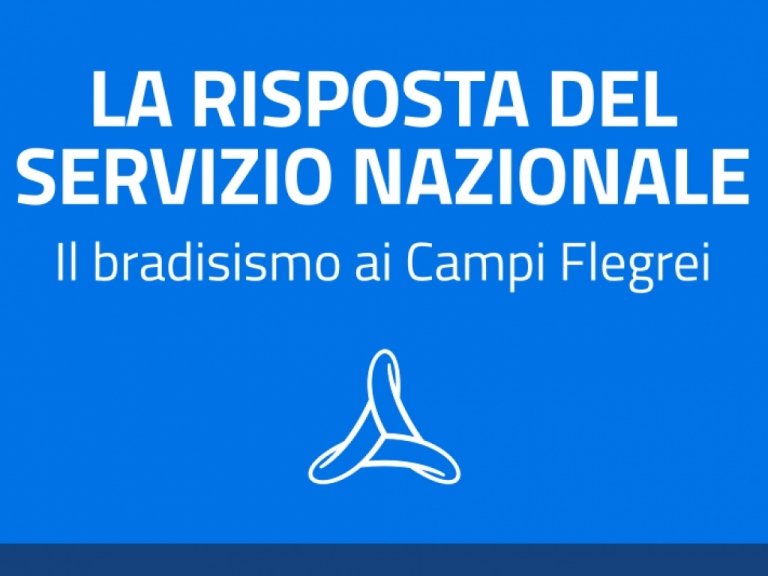 La risposta del Servizio Nazionale
