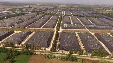 Via le ecoballe, partita oggi la gara