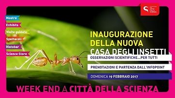 Città della Scienza: inaugurazione casa degli insetti