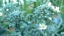 Protocollo Regione-carcere di Secondigliano, un progetto a forte impatto sociale