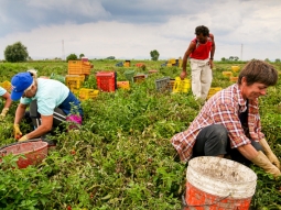 Tutela della salute dei lavoratori edili e agricoli, ordinanza del presidente De Luca