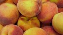 Giugliano e Castelvolturno, ortofrutta non inquinata
