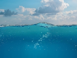 Concorso “MAREMOVIE" - Pubblicati gli elenchi delle scuole ammesse alla terza fase del Concorso